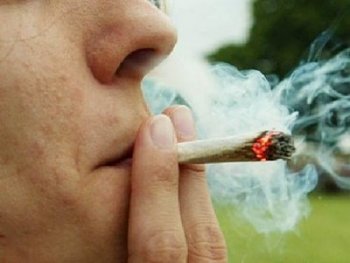 El consumo de cannabis entre los jóvenes aumenta diversas patologías mentales.