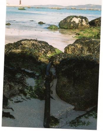  los restos del cable inglés en la playa de Alcabre que queda a la vista al bajar la marea.