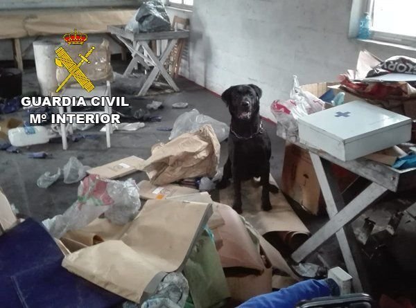&#34;Bany&#34;, uno de los perros que ayer encontró los restos de explosivos en la pirotecnia La Gallega.