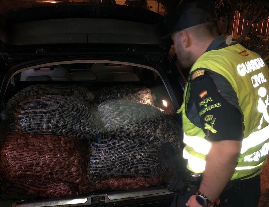 En los dos últimos meses se incautaron más de tres toneladas de almejas, que supuestamente proceden de Portugal