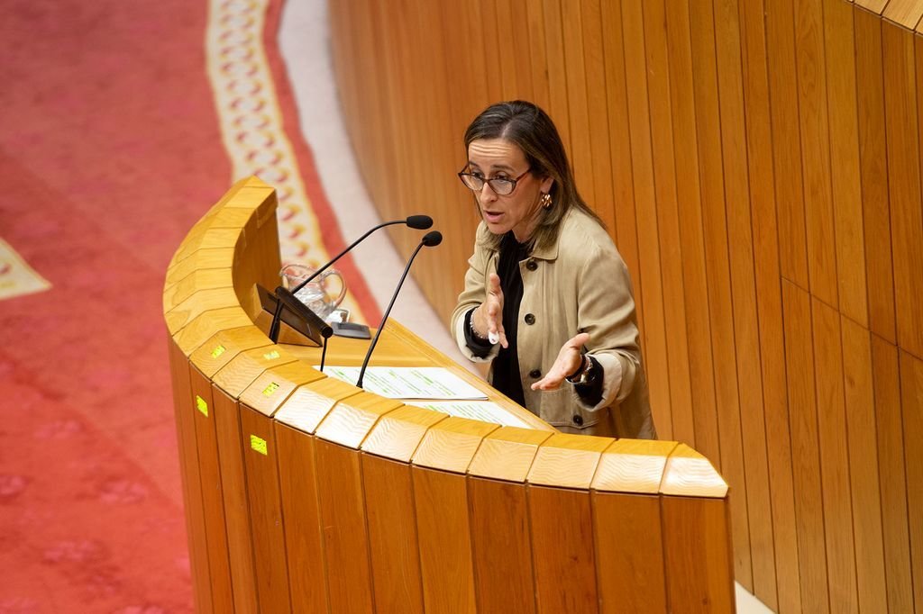 La conselleira Ethel Vázquez, durante una comparecencia en el Parlamento.foto xoán crespo
12/06/2019