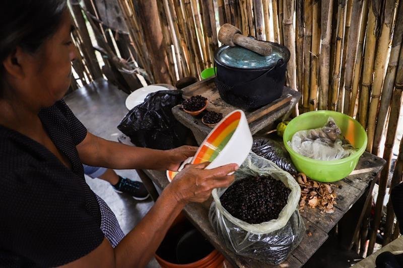 Habitantes de la población de San Cristóbal de las Casas (México) preparando hormigas