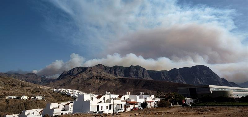 El fuego del incendio de Gran Canaria entra en el Parque Natural de Tamadaba