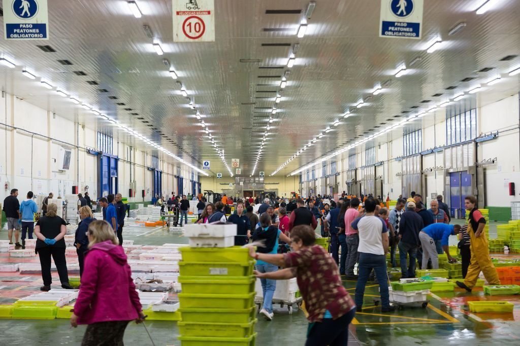 El Berbés es líder en Europa en venta de pesca fresca y marisco.