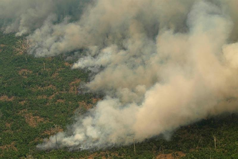 Vista aérea de varias columnas de humo en la selva amazónica de Porto Velho, Rondonia (Brasil)