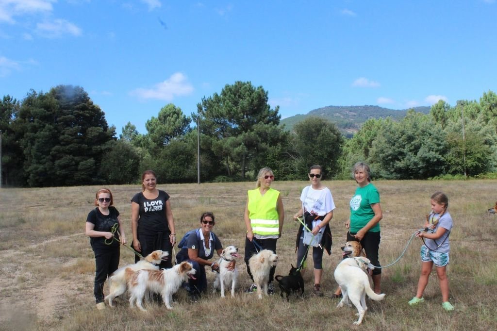 Los paseos de perros de la protectora Aloia de Tui se ha convertido en una cita obligada para muchos voluntarios que acuden con puntualidad británica a las citas de los domingos.