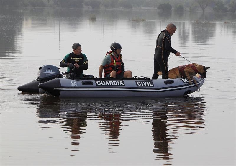 Una unidad canina del Ejército, buzos y un helicóptero de la Guardia Civil participan en la búsqueda del holandés desaparecido