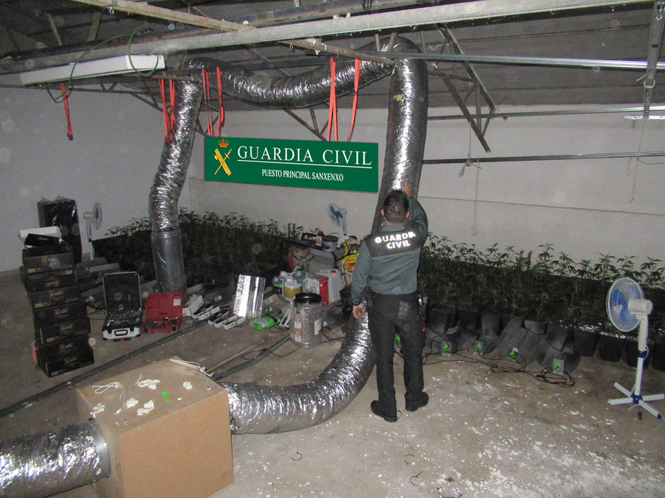 La Guardia Civil localiza un cultivo “indoor” de marihuana en Samieira (Poio)