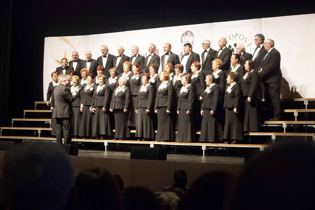 Diez formaciones protagonizaron la velada celebrada ayer en el Auditorio Mar de Vigo.