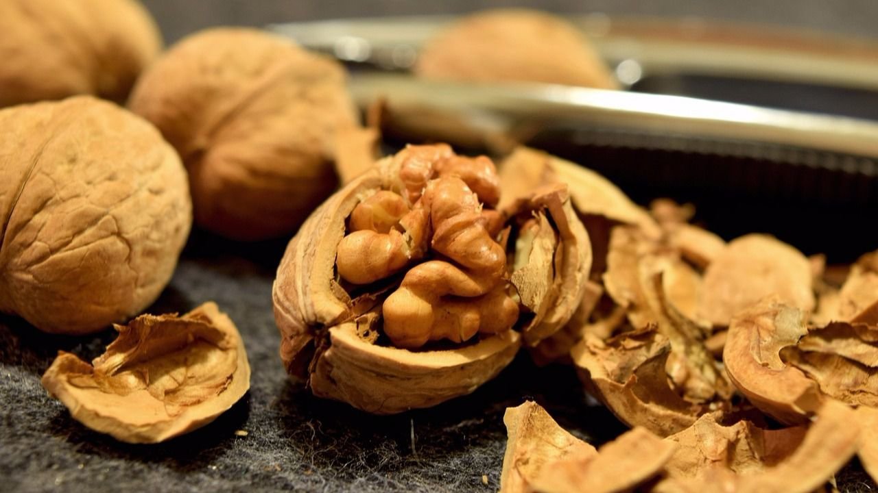 Las nueces, un fruto que ofrece numerosos beneficios a los consumidores.