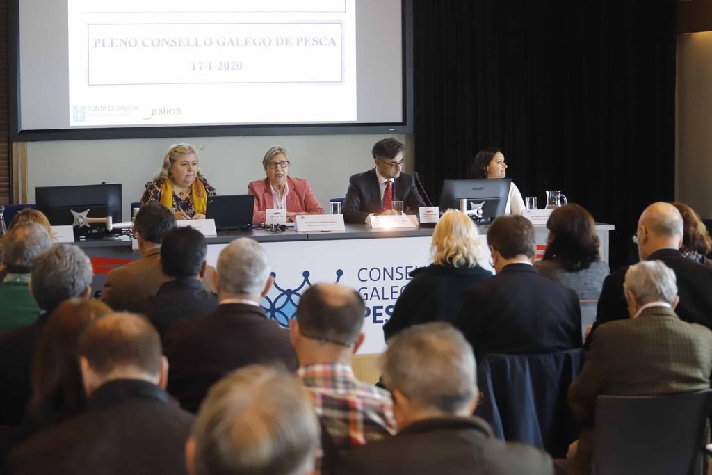 El pleno del Consello Galego da Pesca se reunió en Vigo para abordar el papel clave que puede jugar en el reglamento de control europeo.