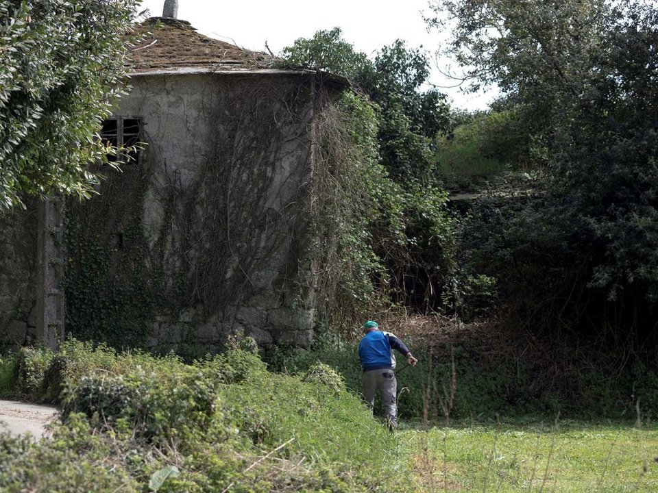 Un hombre limpia la maleza en una &#34;corredoira&#34; a la par de una vivienda abandonada, en Lugo.