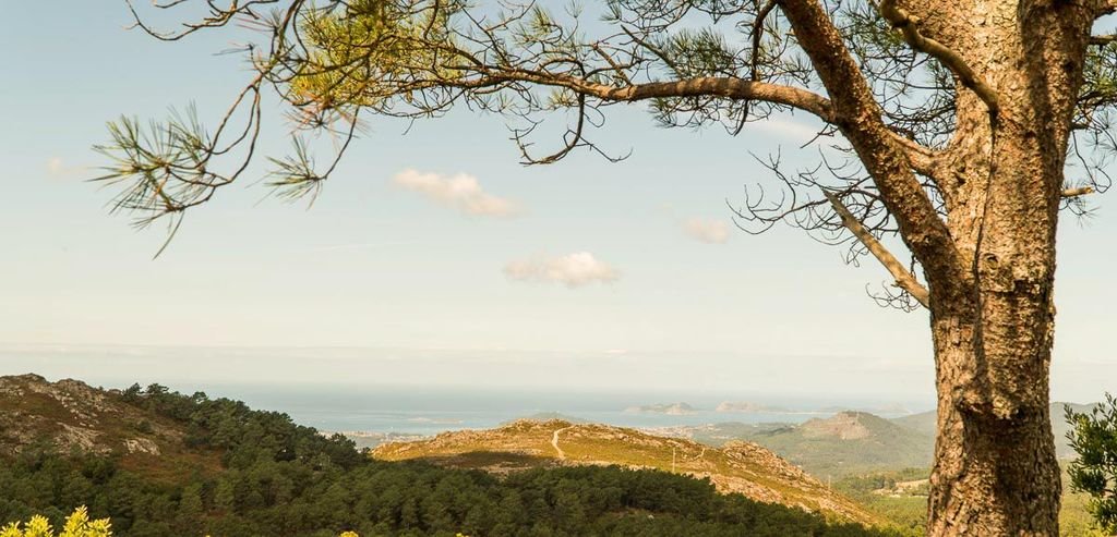 El parque natural del monte Aloia cuenta con una de las mejores vistas de toda la comarca del Baixo Miño.