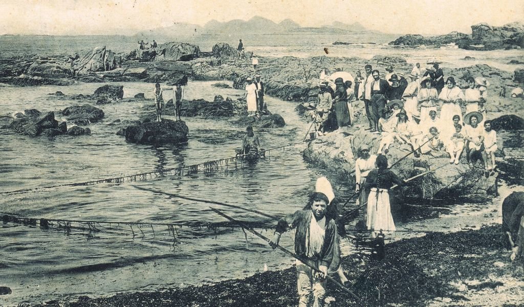 Trabajadores recogiendo algas en A Concheira con &#34;clamoeiros&#34;.