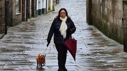 Una mujer pasea a su perro por Compostela.