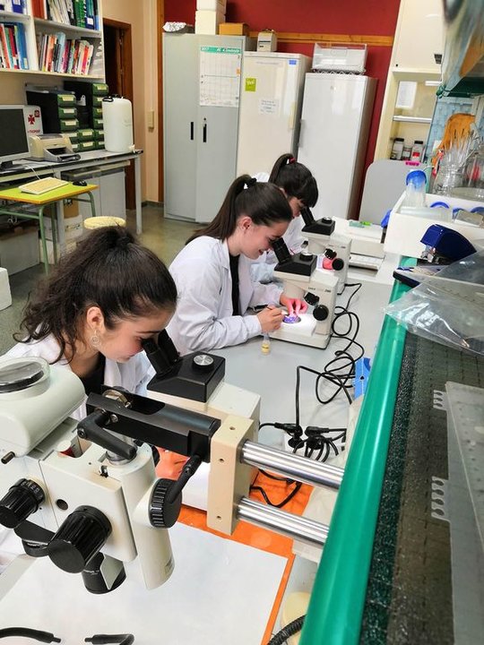 Alumnas en una visita a laboratorios científicos de la Facultade de Biología