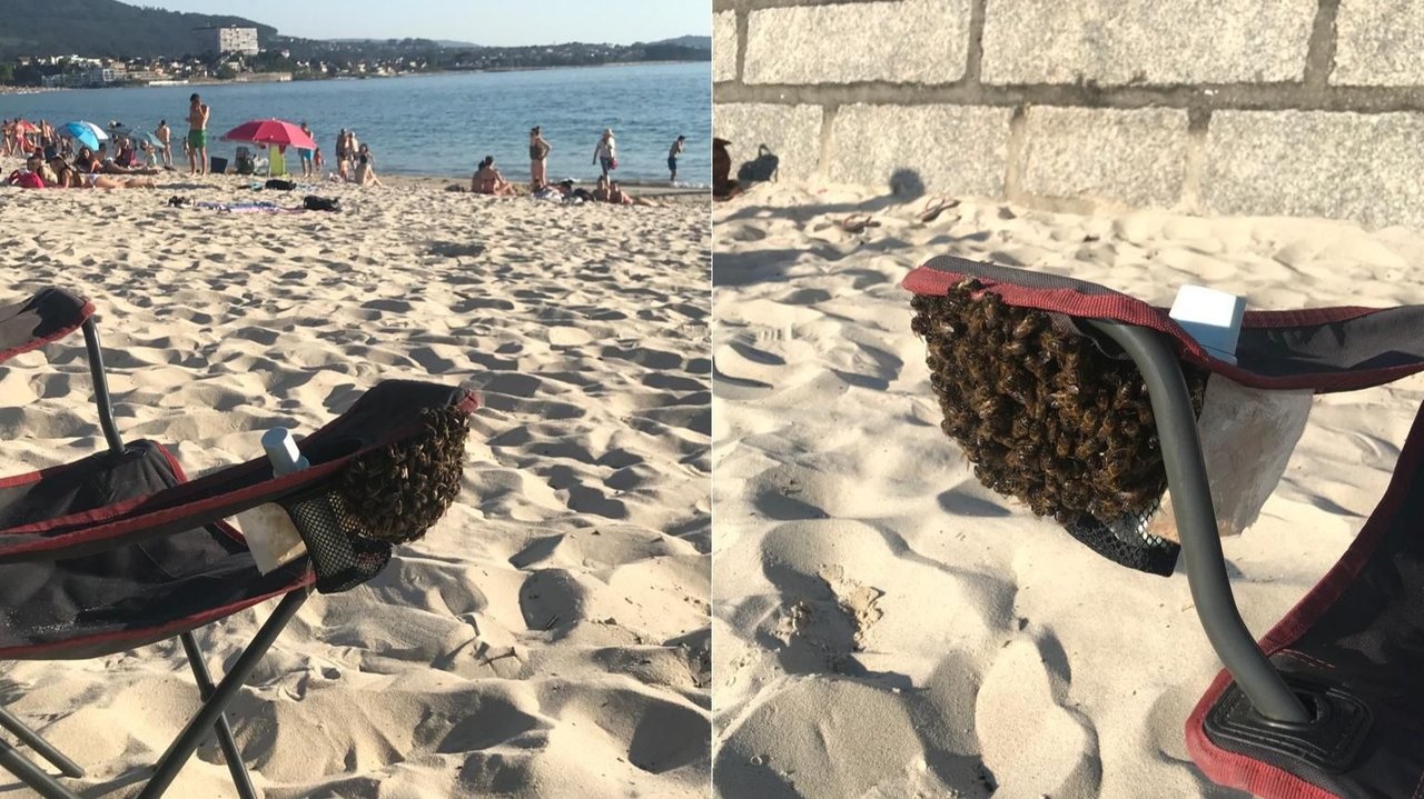 Una colonia de abejas anida en la silla de playa de una bañista en Samil
