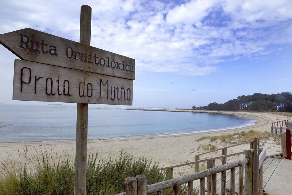La playa de O Muiño es uno de los arenales guardeses que entra en la elección de este programa medioambiental.