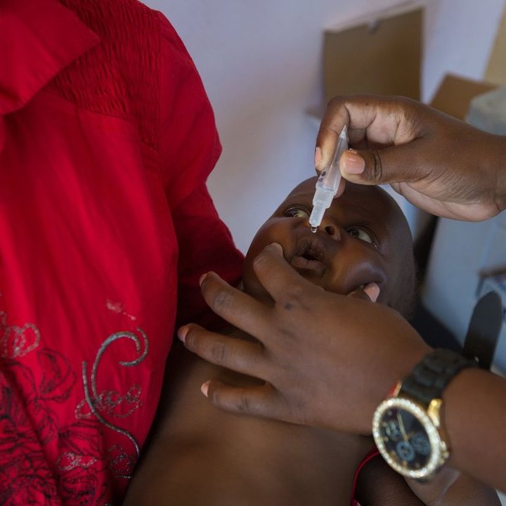 Un miembro de la Alianza realizando labores de vacunación.