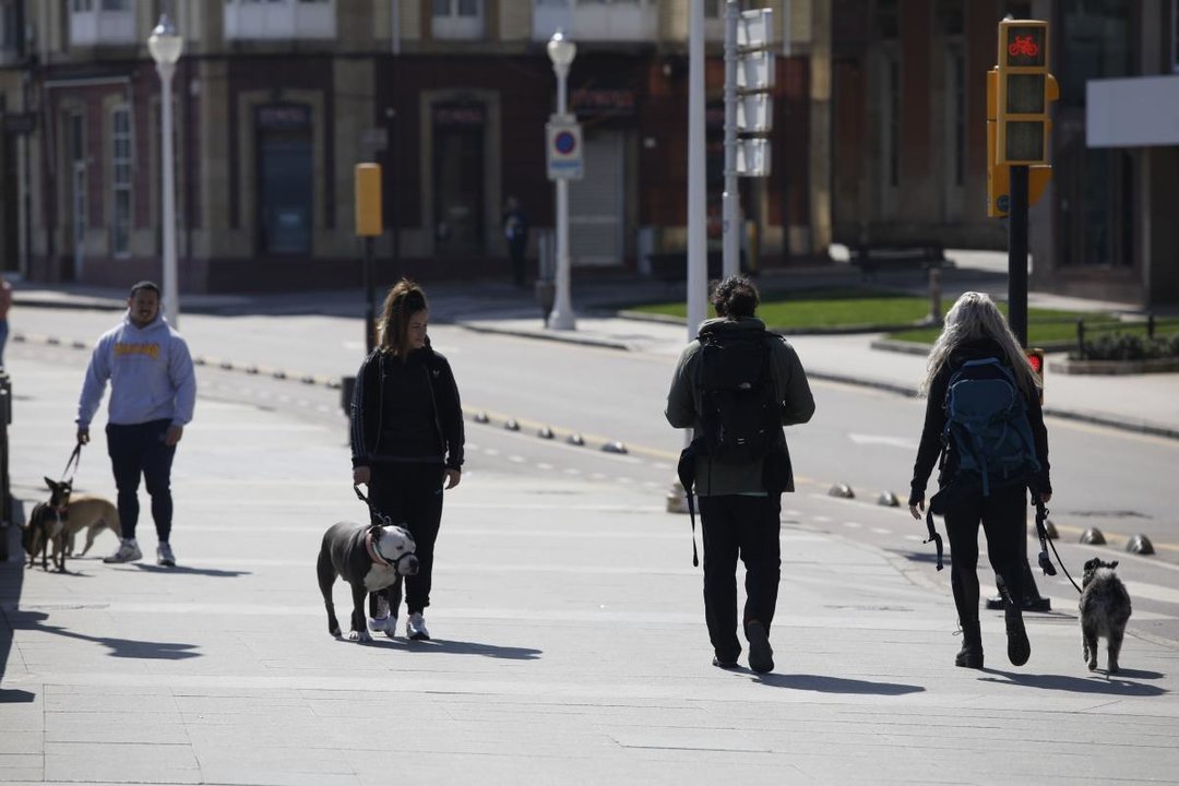 Una joven pasea con su perro por un parque de Madrid.