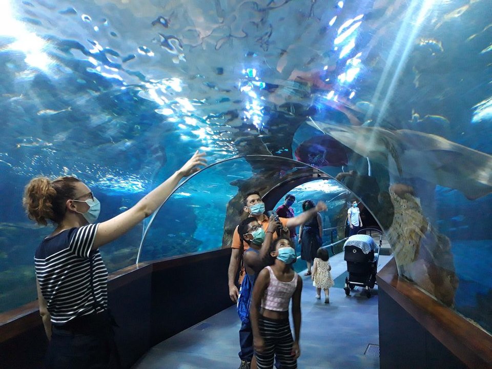 Un grupo de visitantes en una de las salas del Aquarium de San Sebastián.