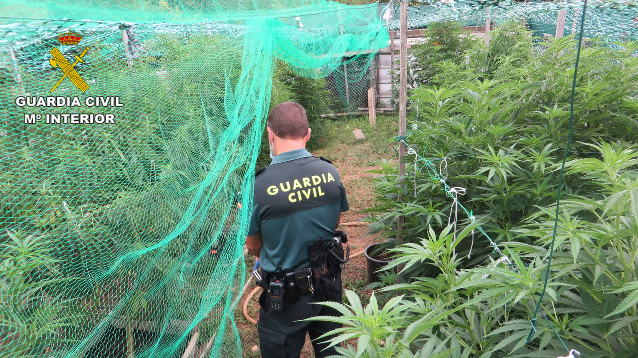 La Guardia Civil interviene una plantación de marihuana en Barro