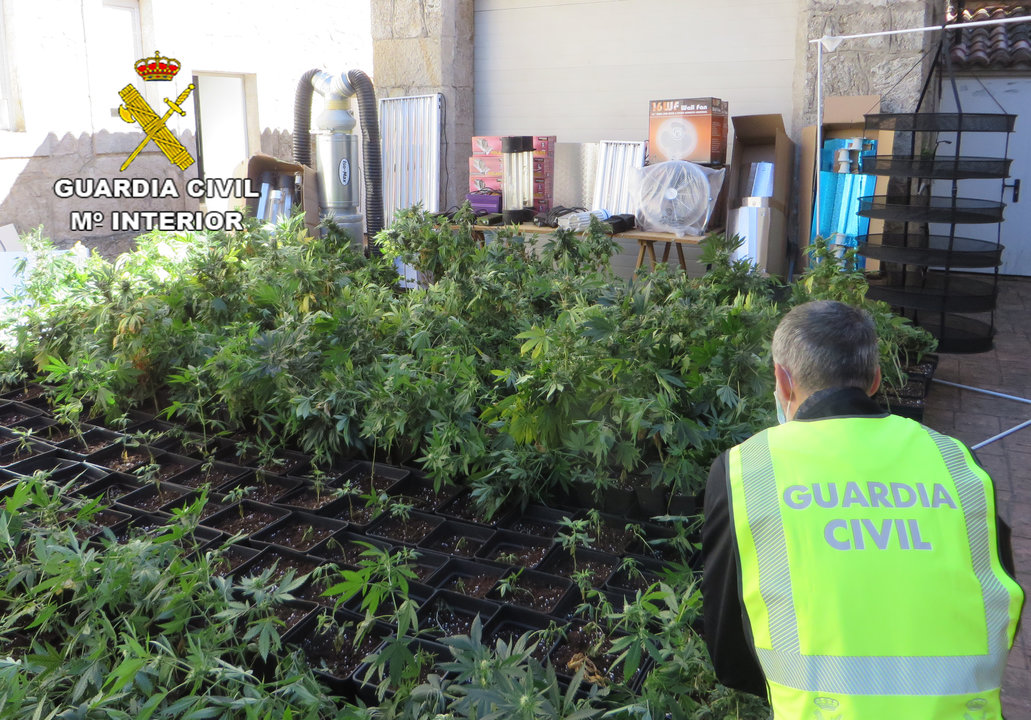 La Guardia Civil desmantela una plantación “indoor” de marihuana en Rodeiro