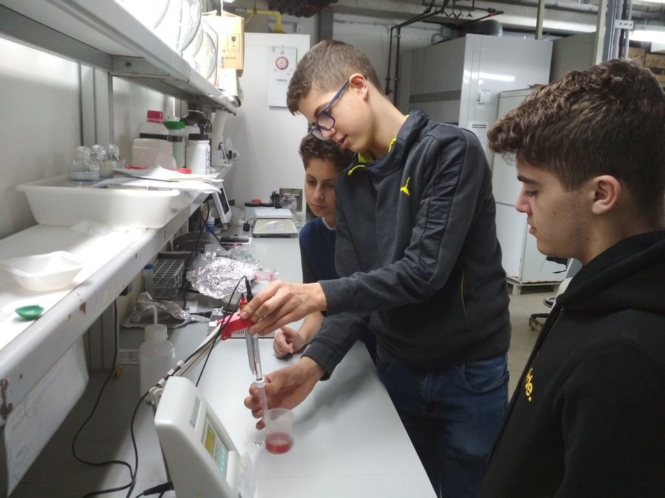 Alumnos del trabajo sobre el Lagares en laboratorios de la Estación de Ciencias Marinas.