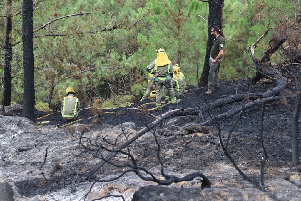Efectivos refrescando el terreno afectado tras el incendio de hace una semana en Monteferro.