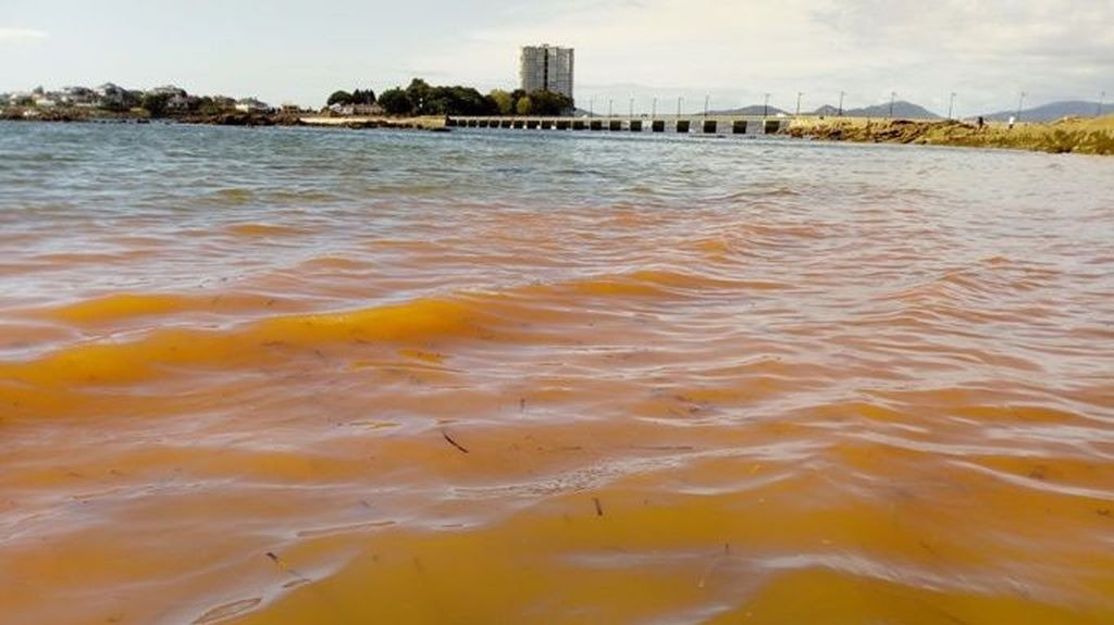 El agua, de color anaranjado, en la isla de Toralla, el miércoles por la tarde.