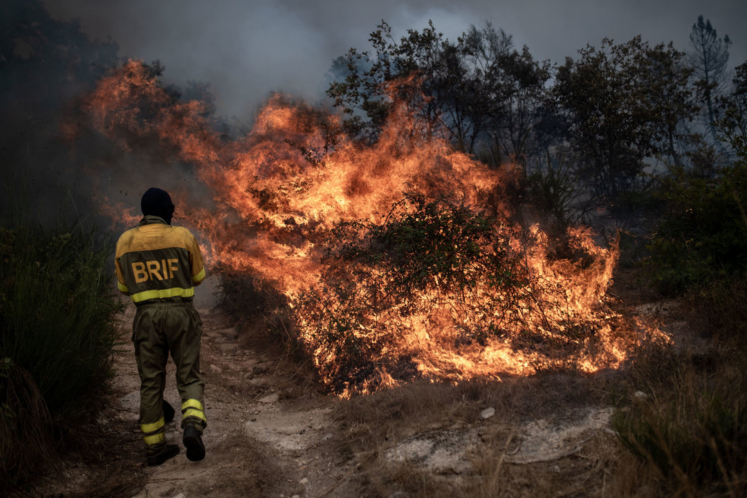 Imágenes de los efectos de los incendios en la provincia de Ourense.