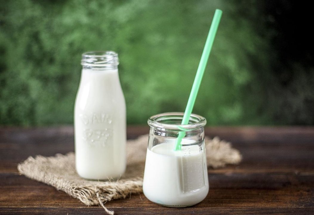 La leche y el yogur, alimentos base de una buena dieta.