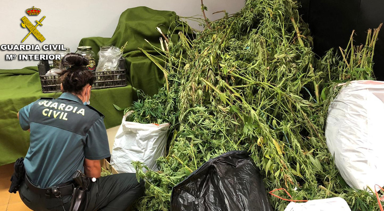 La Guardia Civil desmantela una plantación de marihuana en Soutomaior