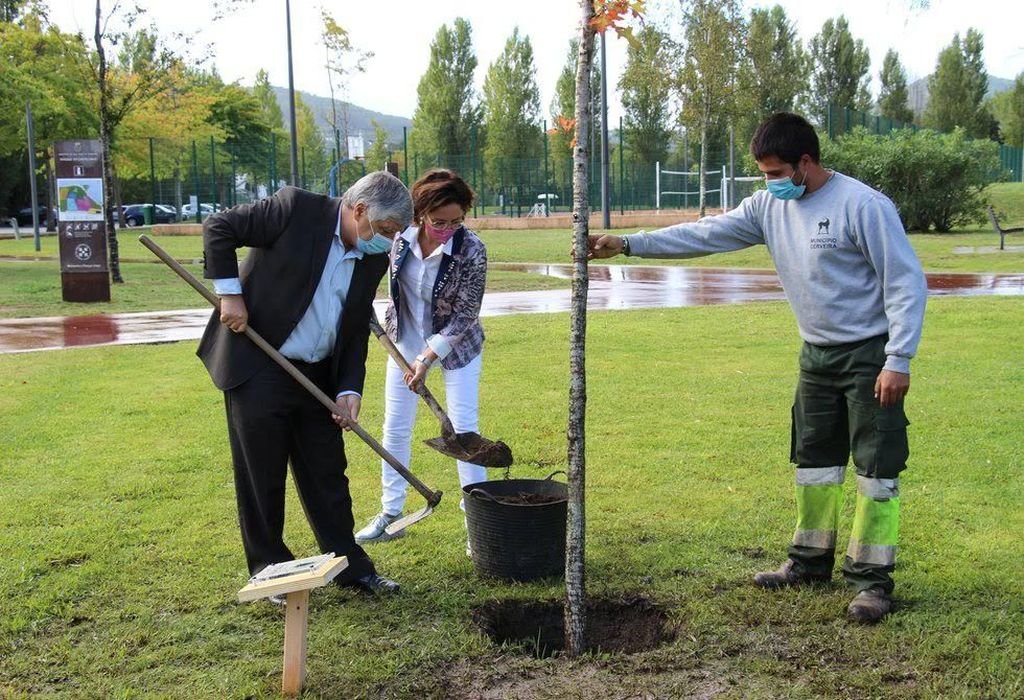 Nogueira y González, en el momento de plantar el roble que simboliza la amistad entre ciudades.