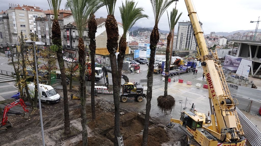 El Concello inició ayer el trasplante de las siete palmeras de la Plaza de la Estación, que se llevarán a Samil