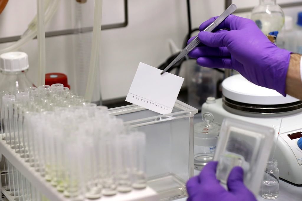 Un técnico de laboratorio trabaja en el análisis de muestras para el desarrollo de una vacuna.