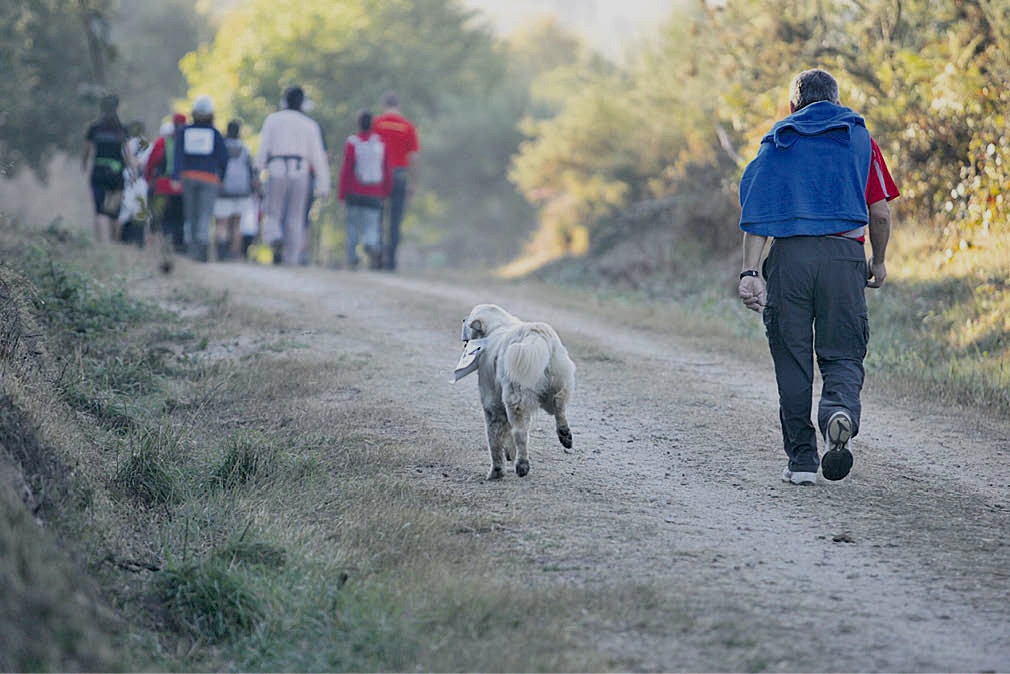 Un hombre camina por el campo acompañado de su perro.