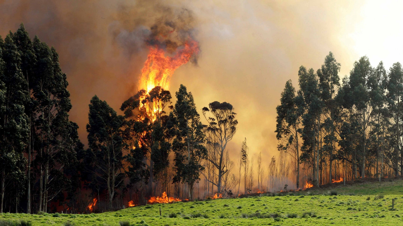 Un incendio en las proximidades de Naves, en Llanes.