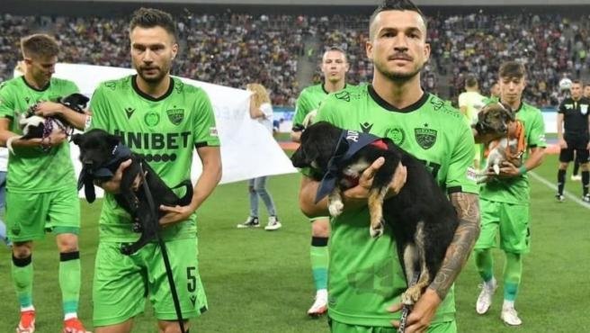Futbolistas rumanos con perros en adopción. // Foto: SaveTheDogs