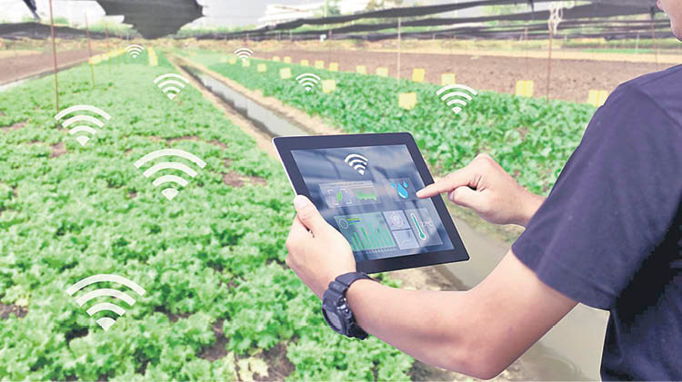 Internet será una herramienta imprescindible para la agricultura en las zonas rurales.