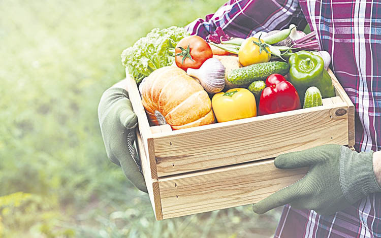 Una dieta rica en frutas y vegetales reduce el riesgo de deterioro.