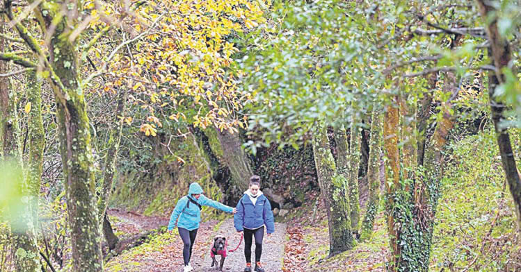 Dos mujeres pasean con su perro por un bosque.