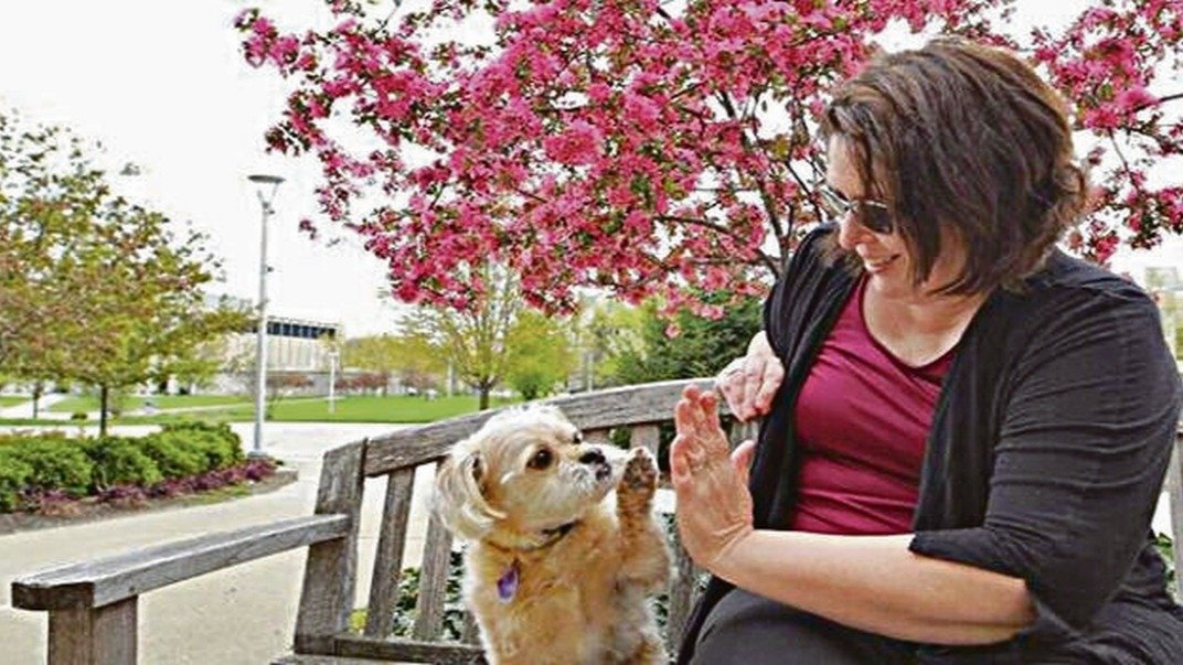 Un perro chocando la mano con su dueña en un parque.