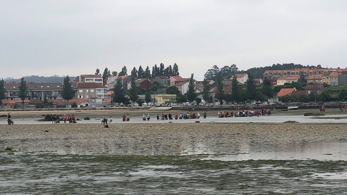 Mariscadoras trabajando en una playa gallega.