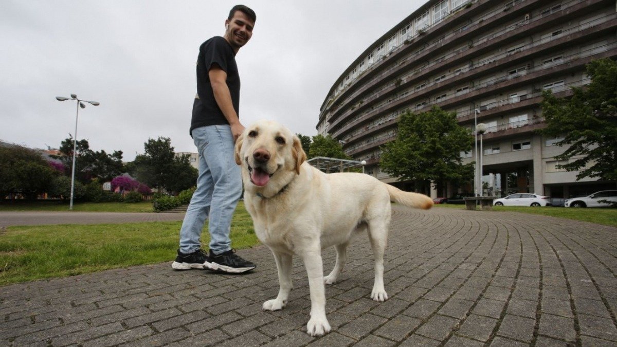 Radioactivo violento catalogar Los perros en Vigo se dispararon con la pandemia: hay ya 46.000, el doble  que niños