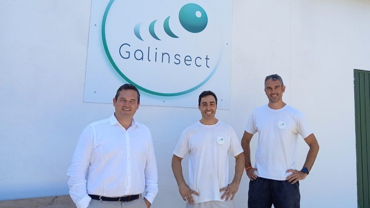 Tres de los emprendedores creadores de Galinsect, empresa pionera en Ponteareas para cría de insectos.