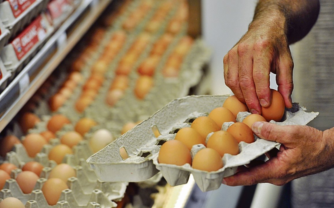Se recomienda no consumir alimentos crudos o escasamente cocinados, especialmente huevos.