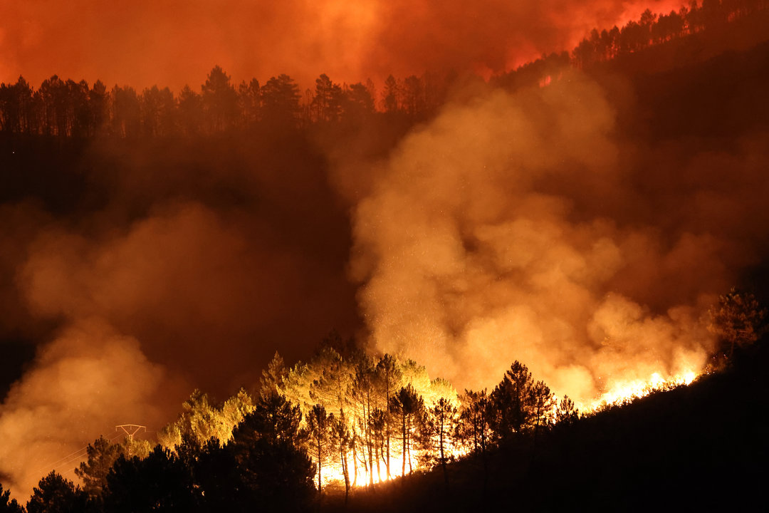 Vista del incendio que arrasó los alrededores de la localidad de Campobecerros, Ourense,. EFE/ Sxenick