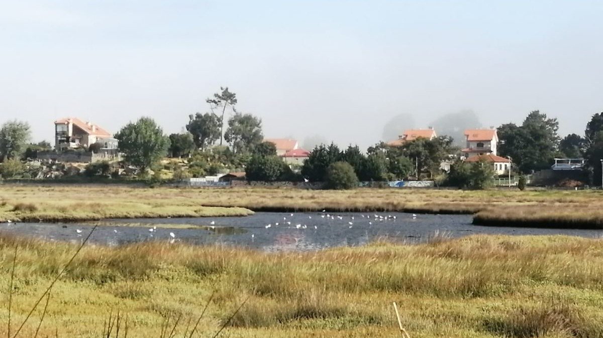 La desembocadura del Lagares es una de las zonas de mayor concentración de aves.