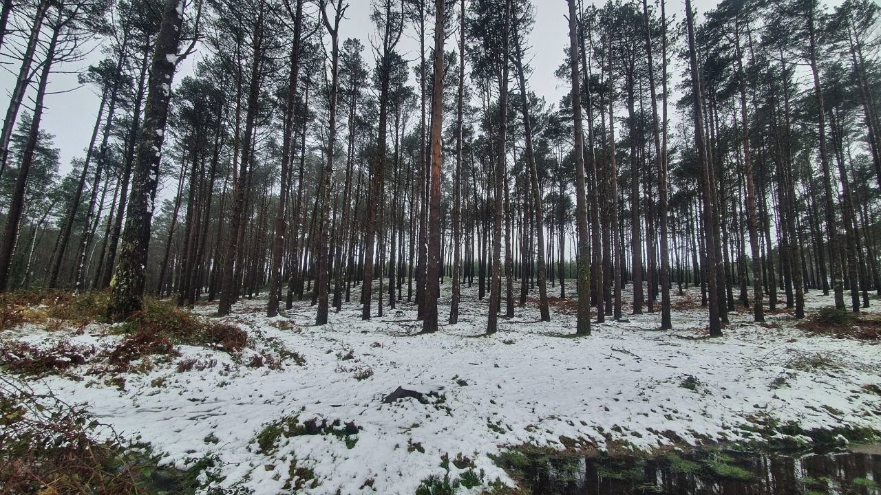La nieve en Fontefría, A Cañiza. // J.V. Landín